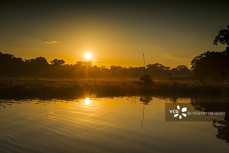 秘鲁雨林-马德雷·德迪奥斯-秘鲁图片素材
