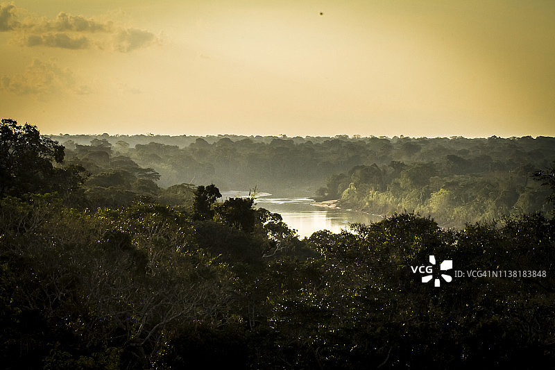 秘鲁雨林-马德雷·德迪奥斯-秘鲁图片素材