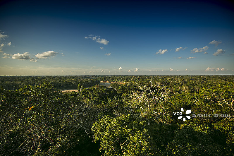 秘鲁雨林-马德雷·德迪奥斯-秘鲁图片素材