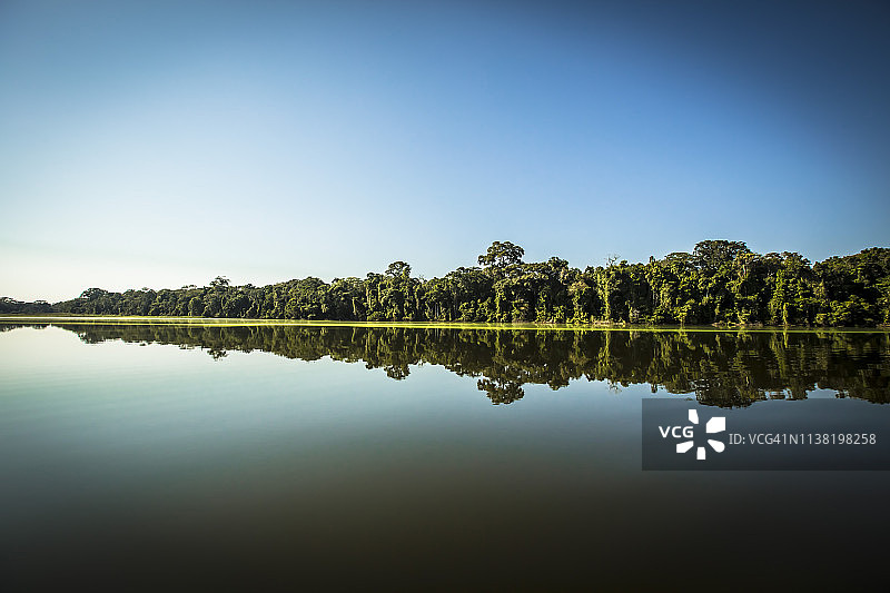 秘鲁雨林-马德雷·德迪奥斯-秘鲁图片素材