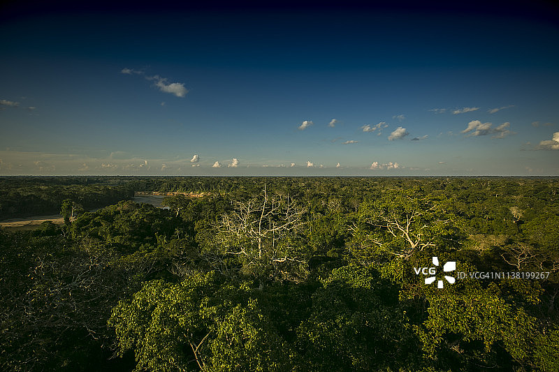 秘鲁雨林-马德雷·德迪奥斯-秘鲁图片素材