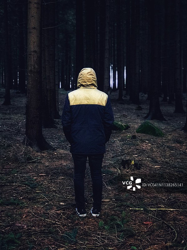 树林中的肖像图片素材