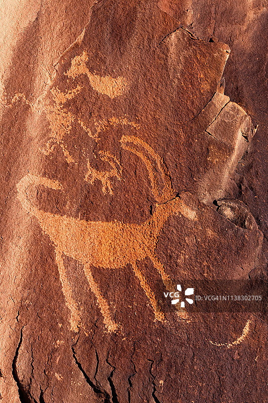 犹他州九英里峡谷中的野 Big Horn 羊岩画图片素材
