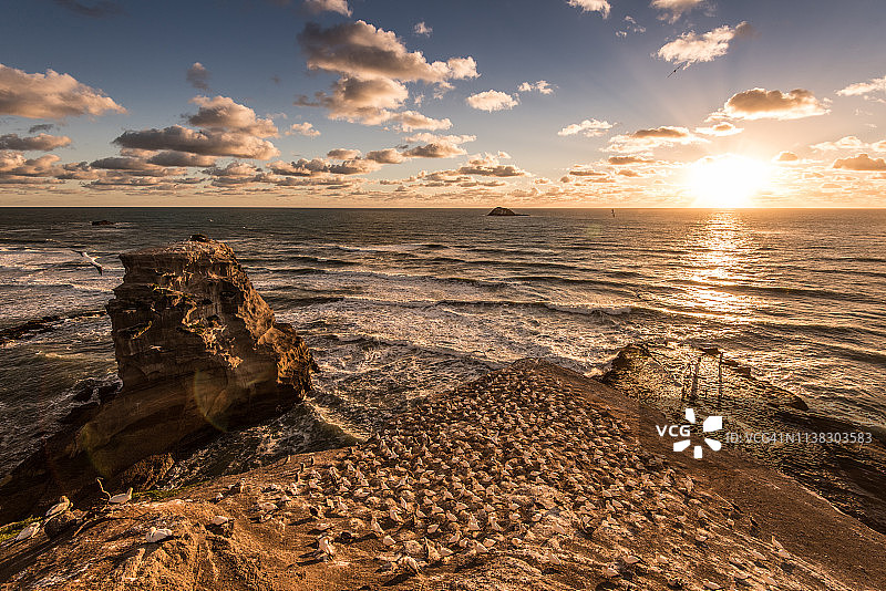 穆里怀海滩，奥克兰地区，新西兰图片素材