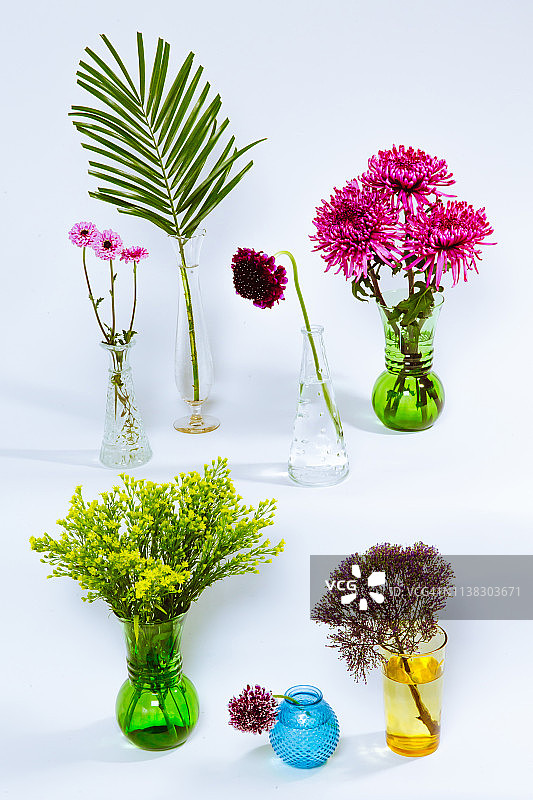 静物花卉，无人静物，静物摄影，白色静物，花艺摆设，多样性和个性概念图图片素材