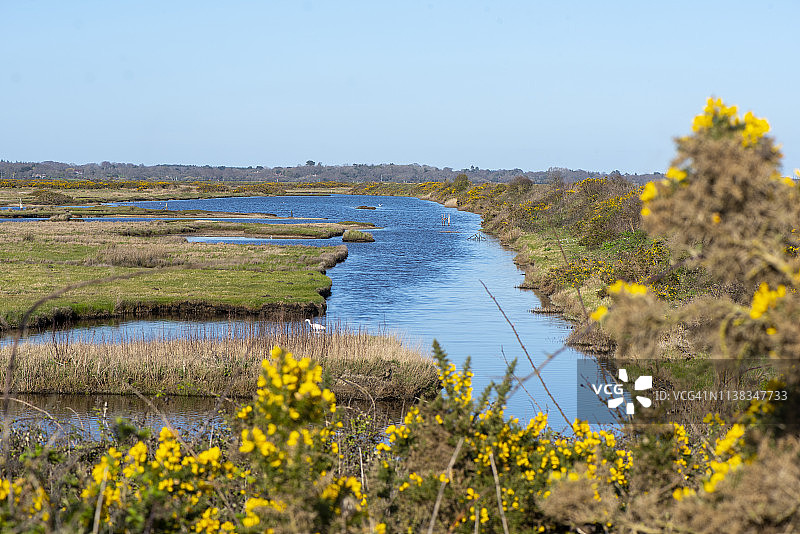 美丽的沿海沼泽和泻湖，位于索伦特边缘的利明顿和基黑文自然保护区，俯瞰怀特岛图片素材