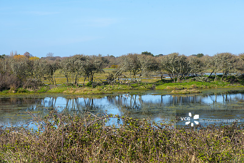 美丽的沿海沼泽和泻湖，位于索伦特边缘的利明顿和基黑文自然保护区，俯瞰怀特岛图片素材