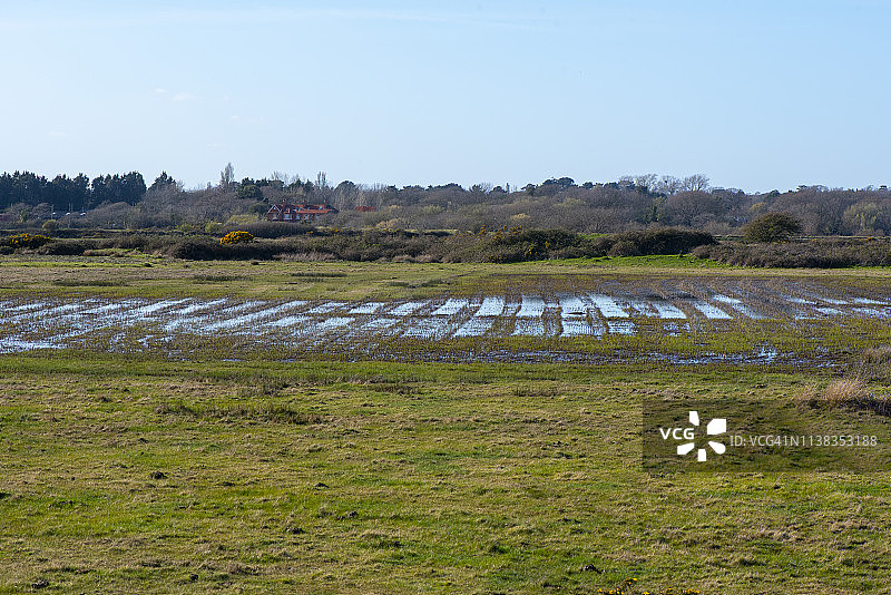 美丽的沿海沼泽和泻湖，位于索伦特边缘的利明顿和基黑文自然保护区，俯瞰怀特岛图片素材