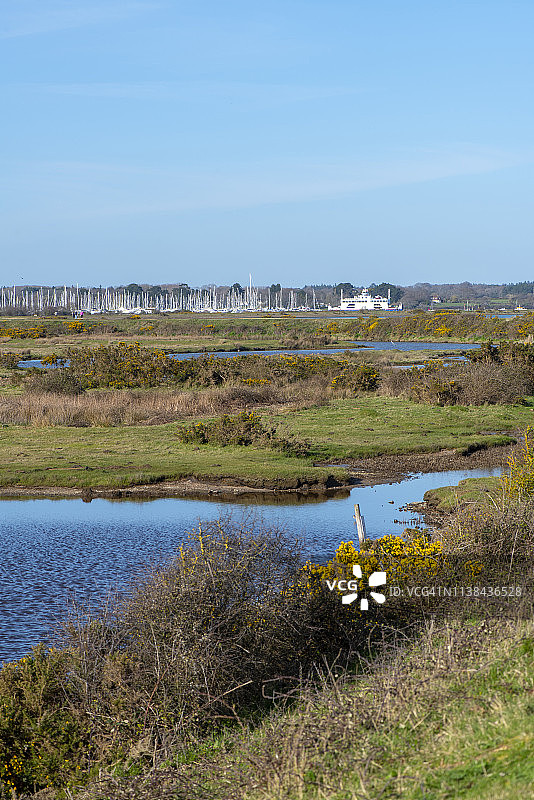 美丽的沿海沼泽和泻湖，位于索伦特边缘的利明顿和基黑文自然保护区，俯瞰怀特岛图片素材