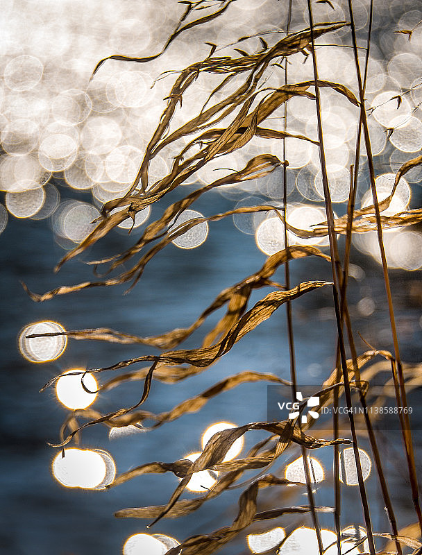 草地牧场图片素材