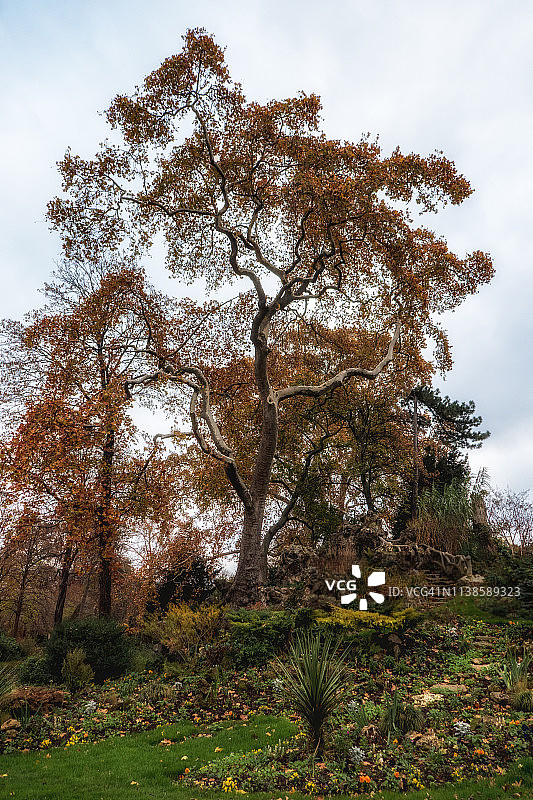 秋季时尚图片素材
