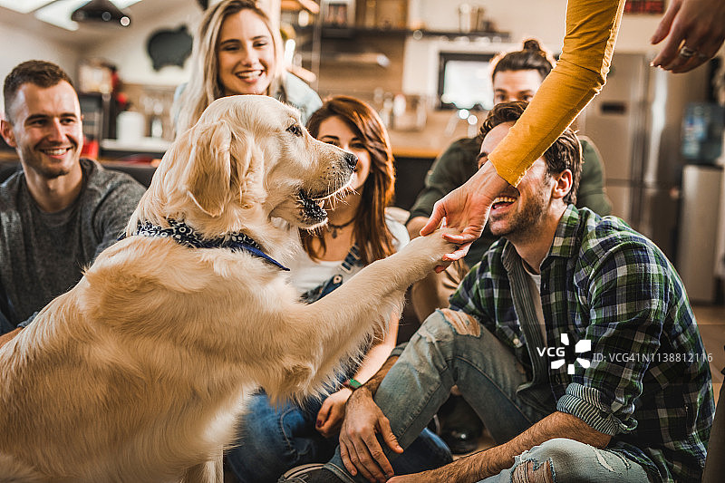 一群快乐的朋友教狗在家握爪图片素材