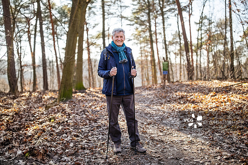 在森林中进行北欧式健走的健康老人图片素材