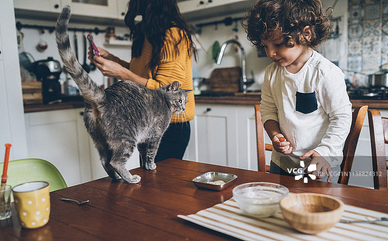 年轻女子和小男孩喂猫图片素材