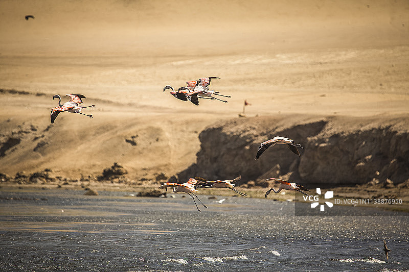 秘鲁伊卡帕拉卡斯国家保护区图片素材
