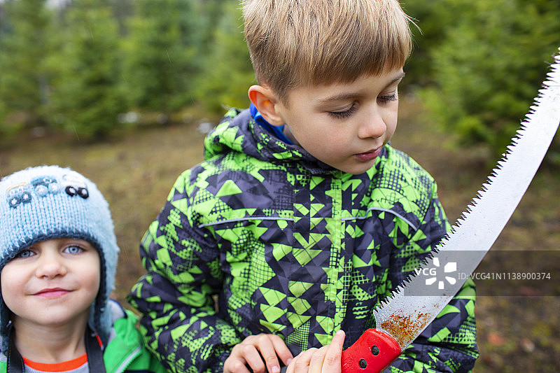 在树木农场的兄弟肖像图片素材