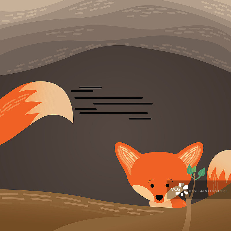 小狐狸藏起来，等待妈妈外出觅食图片素材