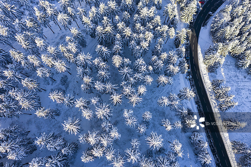德国黑森州陶努斯冬季针叶林公路航拍图片素材