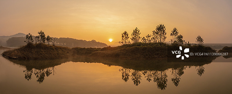 美丽的松树岛屿在黎明时分图片素材