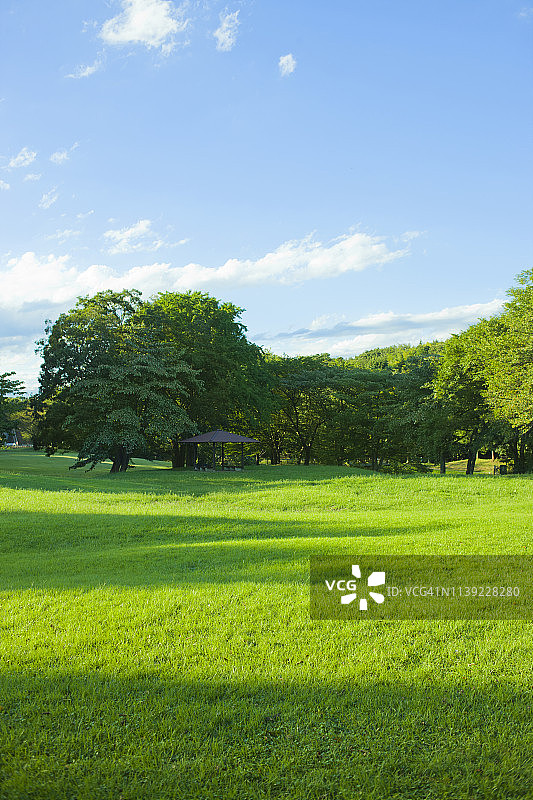 花园草坪图片素材
