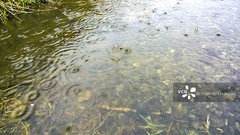 暴雨中水坑雨滴飞溅特写图片素材