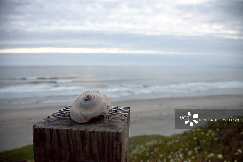 俯瞰海洋的栅栏柱上的海螺图片素材