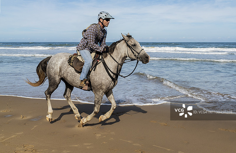 男人在海滩上骑着一匹灰色的马图片素材