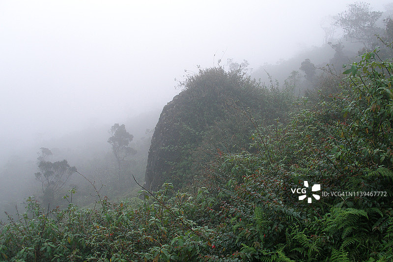 斯里兰卡山丘上雾气弥漫的热带雨林图片素材