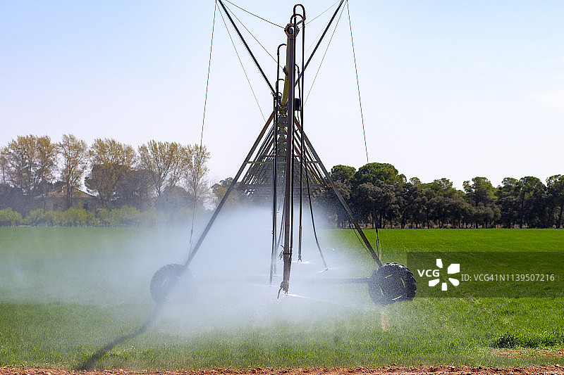 大麦田图片素材
