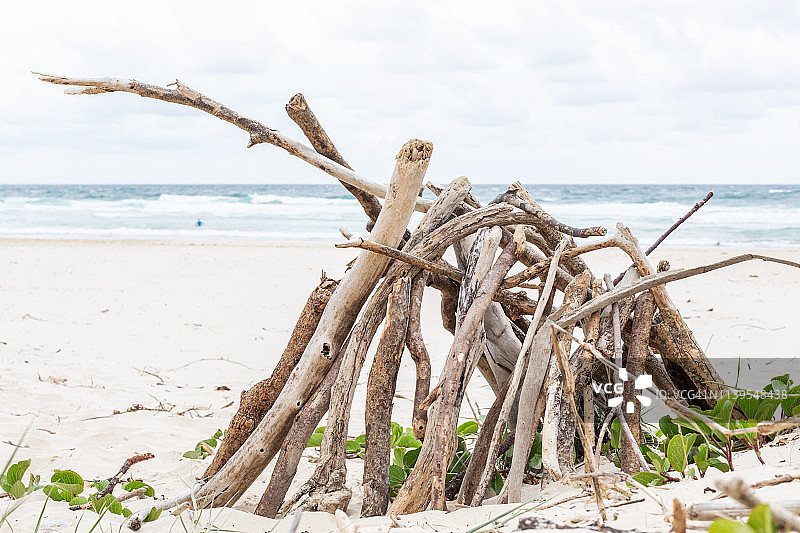 海滩上的浮木堆图片素材