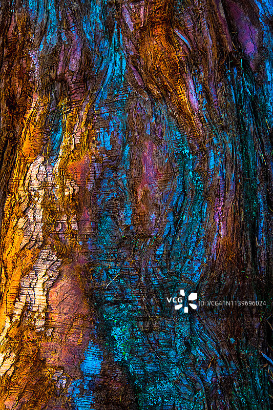 抽象树皮图片素材