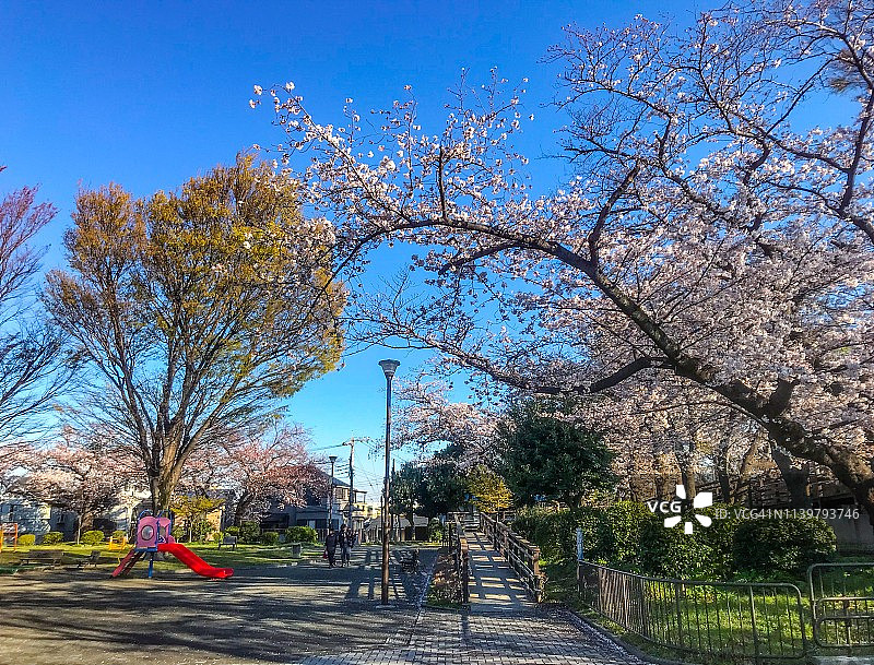 野毛山公园的早晨图片素材