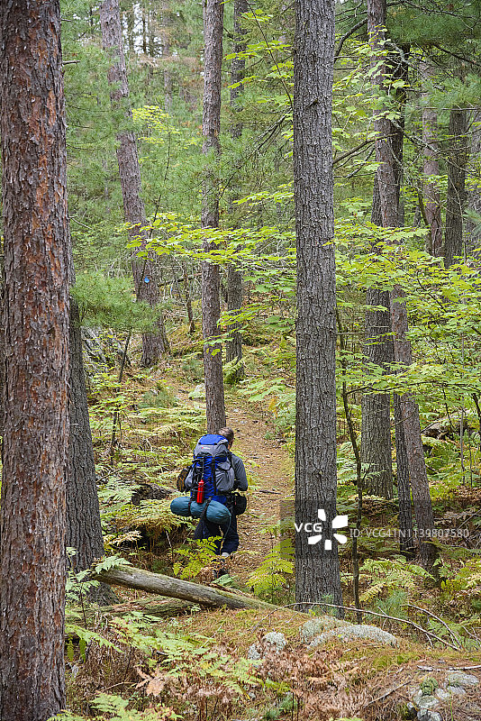 在加拿大基拉尼省立公园La Cloche Silhouette小径上的徒步旅行者图片素材