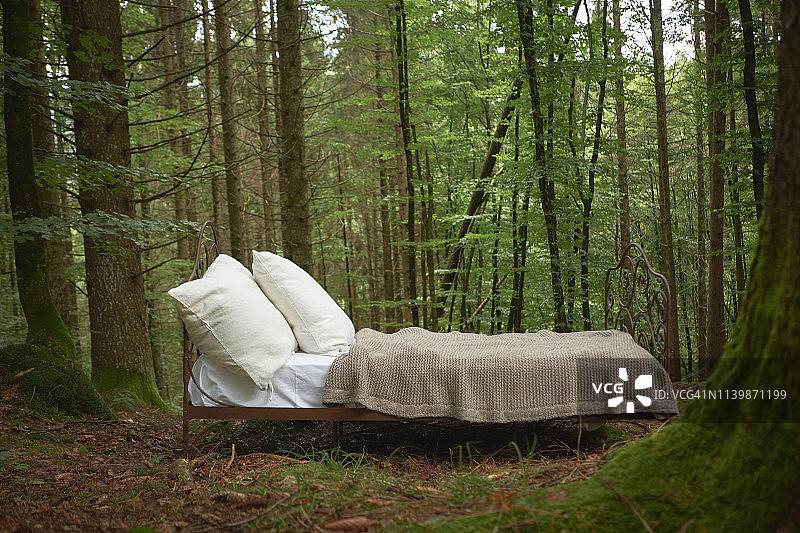 树林中的床铺图片素材