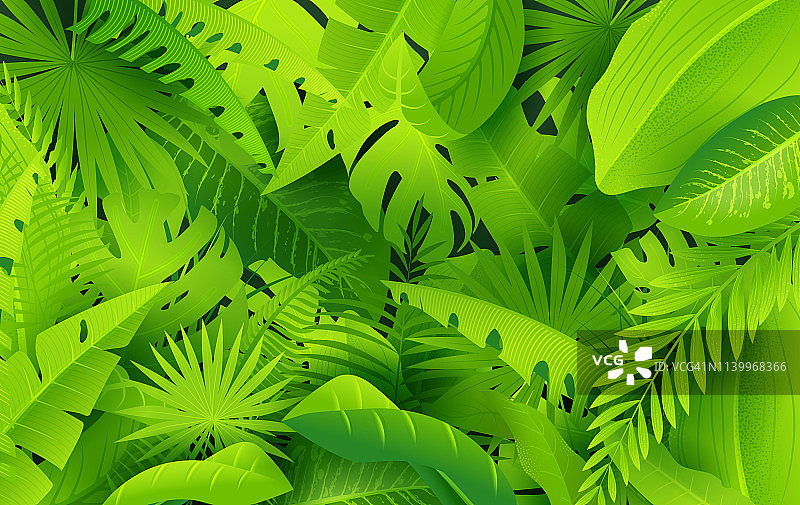 丛林绿色背景图片素材