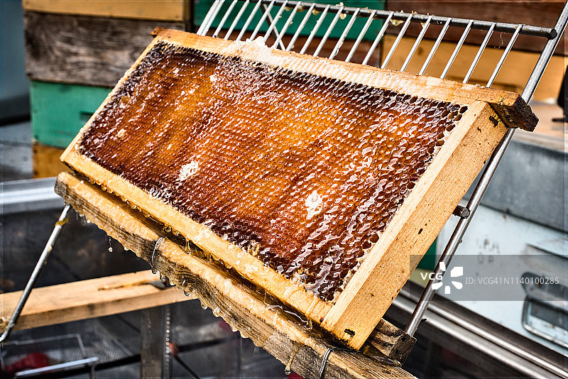 装满蜂蜜的蜂巢框图片素材