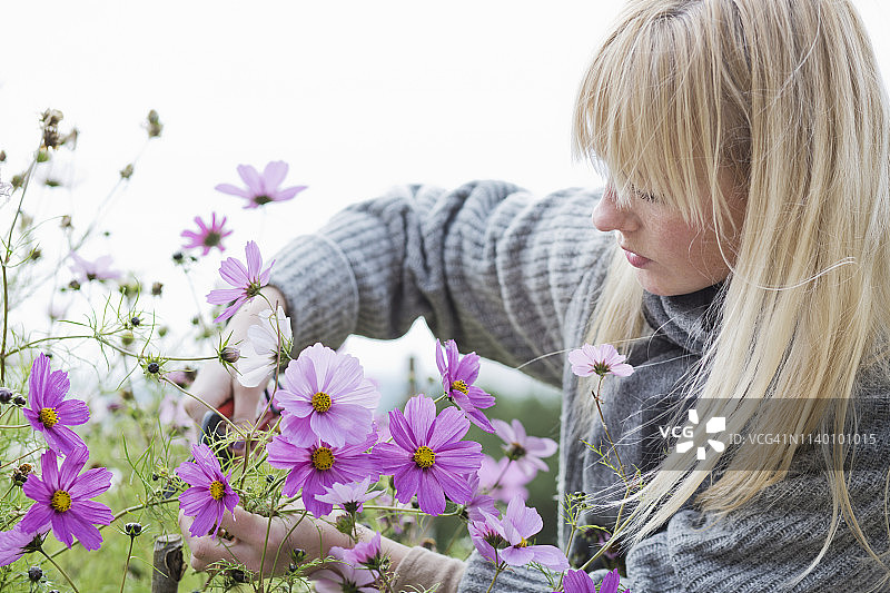 中年女人在花园里采摘有机鲜花图片素材