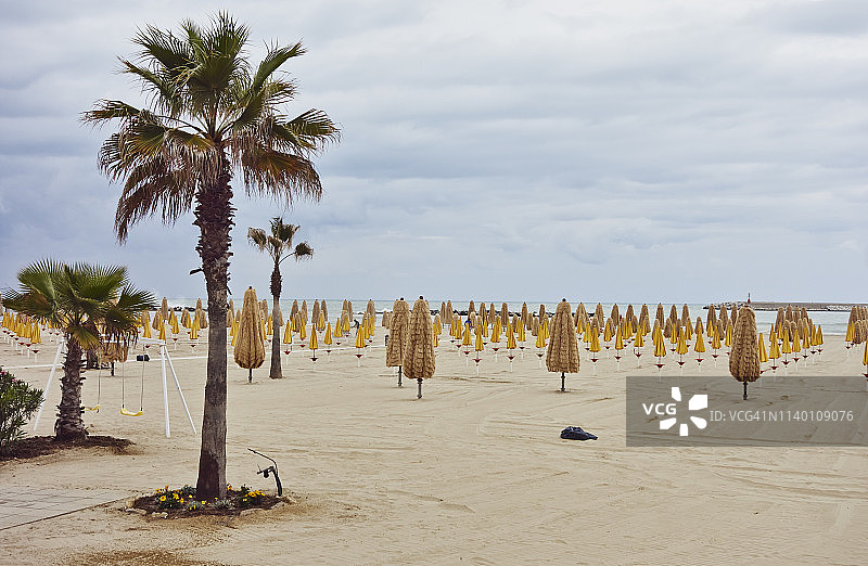 意大利阿布鲁佐佩斯卡拉海滩上棕榈树和成排的沙滩伞图片素材