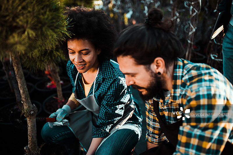 情侣种树图片素材