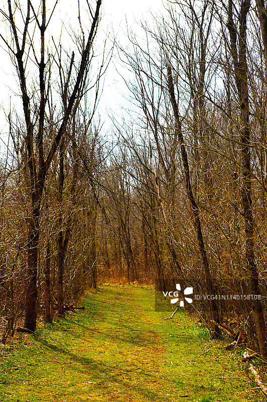 宾夕法尼亚州的林地图片素材
