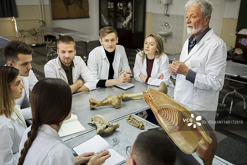 学生们与教授讨论问题图片素材