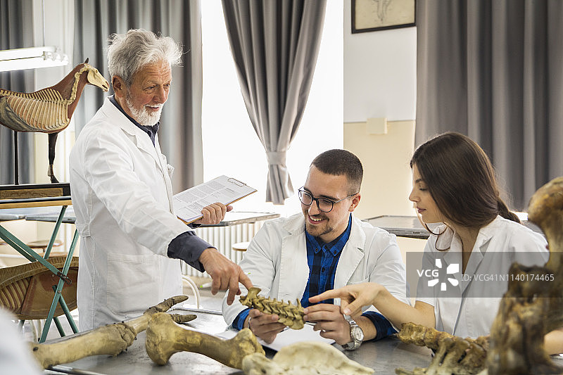 教室里的学生们图片素材