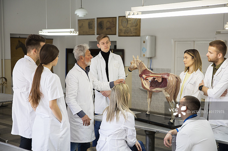 学生们与教授讨论问题图片素材