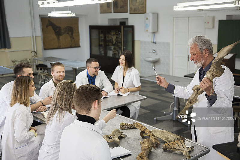 学生们与教授讨论问题图片素材