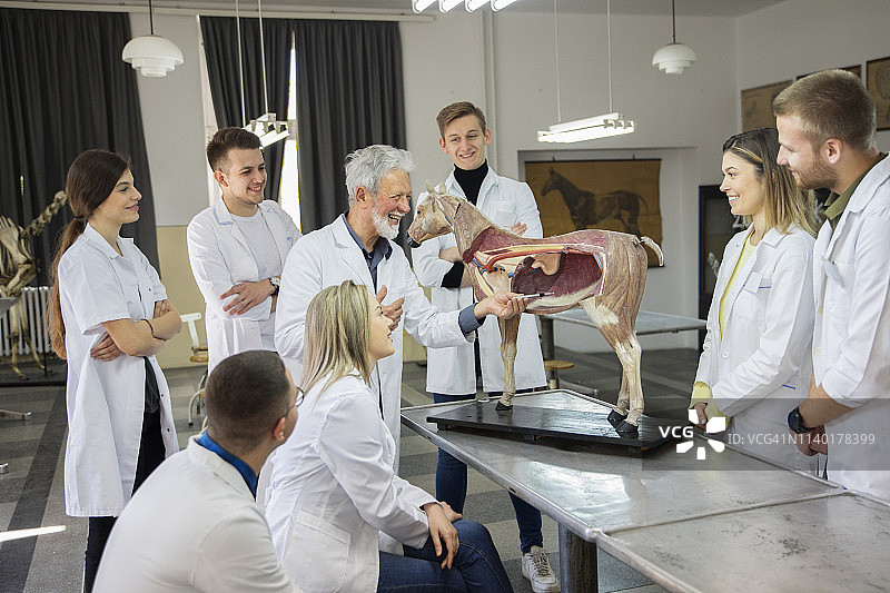 学生们与教授讨论问题图片素材