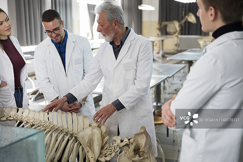 学生们与教授讨论问题图片素材