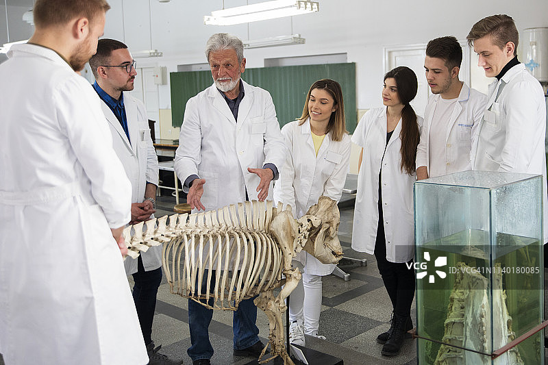 学生们与教授讨论问题图片素材