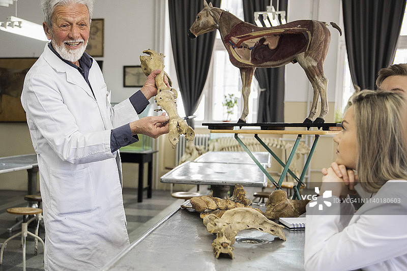 学生们与教授讨论问题图片素材