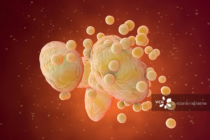 人体内脂肪细胞堵塞3D渲染插图图片素材
