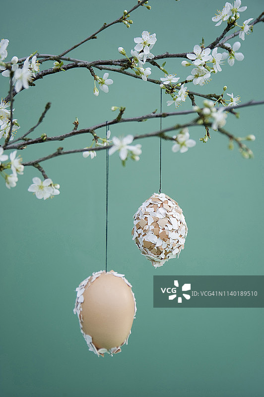树枝悬挂彩蛋复活节装饰图片素材